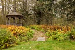 Woodland Chalet, Fire Pit, Gazebo & Forest Views - Image 3