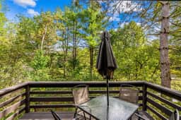 Renovated Condo with Fireplace, Mill Run - Image 5