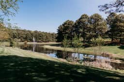 Bubbles Up Home, Fireplace & Bay Creek Access - Image 3
