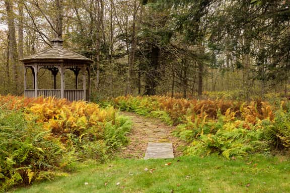 Woodland Chalet, Fire Pit, Gazebo & Forest Views - Image 3