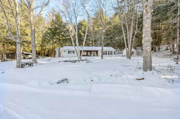 Woodstock Way Ranch on Private Wooded Acres - Image 4